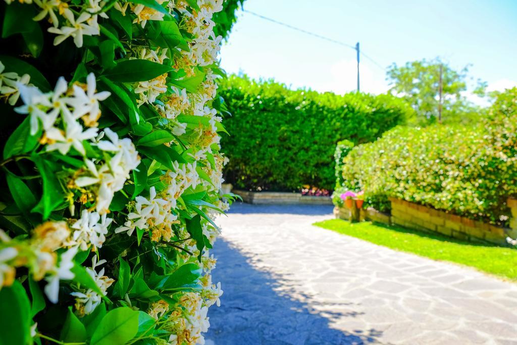 La Dolce Sosta Bed & Breakfast Campagnano Di Roma Dış mekan fotoğraf
