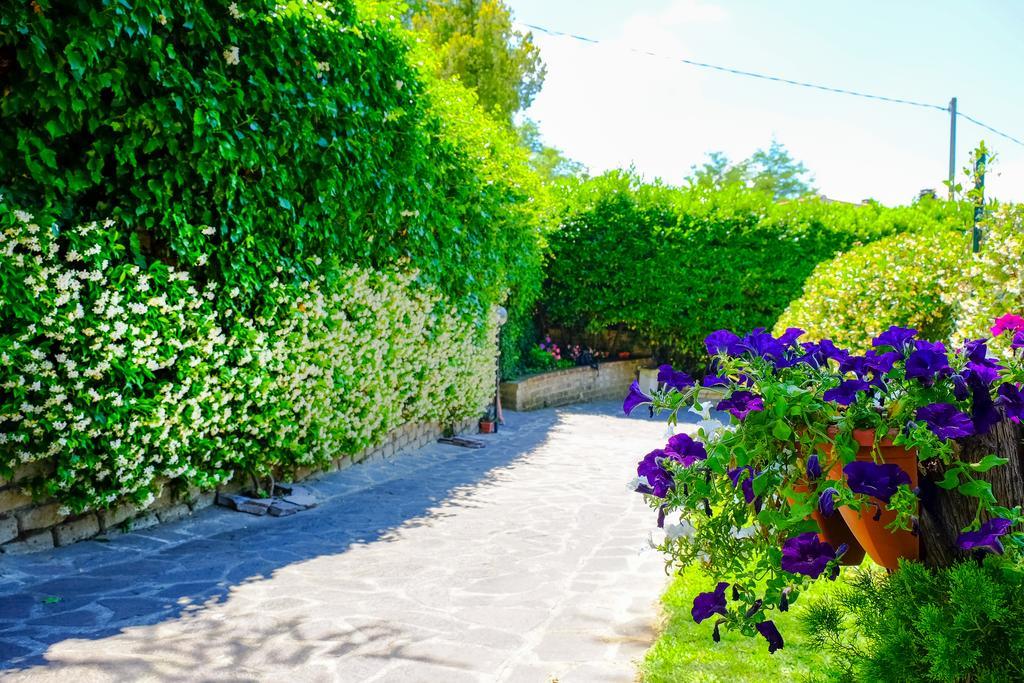 La Dolce Sosta Bed & Breakfast Campagnano Di Roma Dış mekan fotoğraf